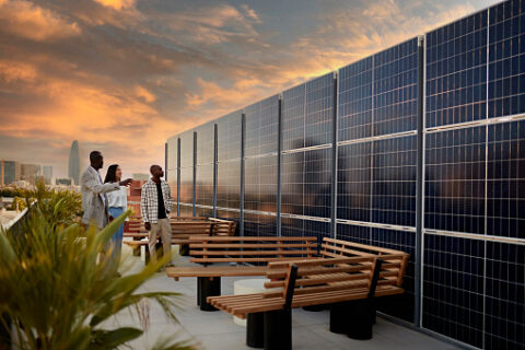 Business Solar Panel