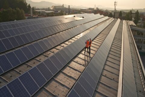 Workers checking out the solar panel size guide