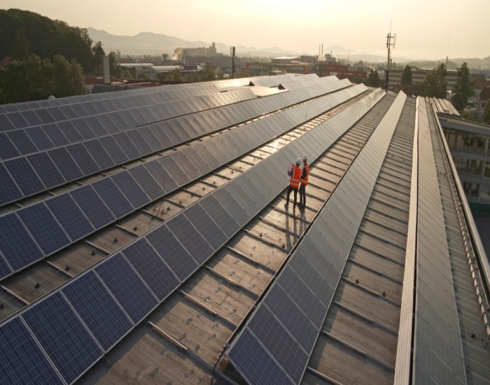 Workers checking out the solar panel size guide